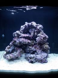 Using the form below, send us your images of reef tank designs showing the aquascapes you find most inspiring. Reef Rock Aquascaping Aquascape Ideas