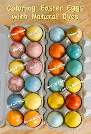 Coloring Easter Eggs Naturally Cindys Garden To Table