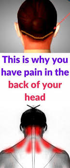 Pin On Health