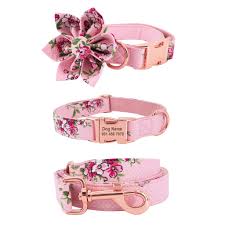 My male shiba is challenging enough 🙂. Pink Retro Girl Dog Collar Dog Flower And Leash Set For Pet Dog Cat With Rose Gold Metal Buckle Jfgr Shopee Philippines