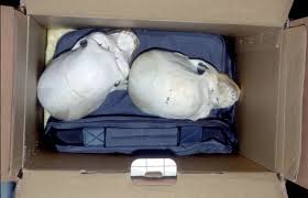 Check spelling or type a new query. Micro Disasters The Case Of Serial Killer Jeffrey Dahmer Abstract Europe Pmc
