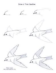 Artistic Bird On Tree Drawing 40 Drawing Tutorial For Occasional Artists Buzz 2018 Trees Drawing Tutorial Realistic Drawings Tree Drawing
