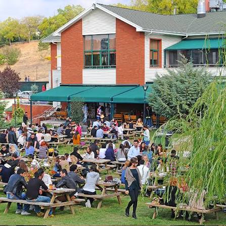 Hacettepe Üniversitesi