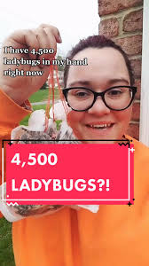 Watch Maple Bugs Start Eating Immediately