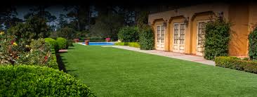 ₹ 300/ square feet get latest price. Artificial Grass Golf Putting Greens In California Back Nine Greens