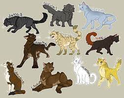 Pin On W Cats
