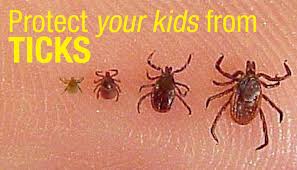 My 4 year old daughter's feet ache almost everyday. Protect Your Kids From Ticks