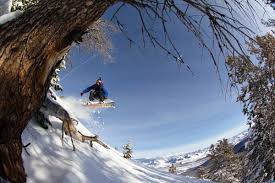 Maybe you would like to learn more about one of these? Zack Giffin S Ski Lodge On Wheels Tumbleweed Houses