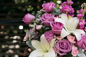 Check spelling or type a new query. July Birth Flowers Larkspur And Water Lily