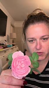 David Austin Rose Update Queen of Sweden