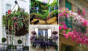 Check spelling or type a new query. Spectacular Balcony Garden Archives Amazing Diy Interior Home Design