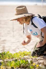 Studying the Evolution of Floral Traits at Southern California Restoration  Sites- Loyola Marymount University Newsroom