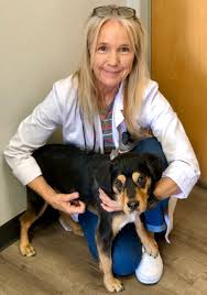 Maybe you would like to learn more about one of these? Orange Canyon Pet Clinic