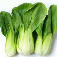 Maybe you would like to learn more about one of these? Sayur Pakcoy Sawi Botol Shopee Indonesia