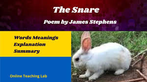 The Snare Poem By James Stephens Words Meanings Explanation Summar In 2020 Poems Words Online Teaching