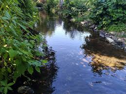 Photos, address, and phone number, opening hours, photos, and user reviews on yandex.maps. Kaiser Garten Troisdorf Schon Aubach Wiehl Garten Anlegen