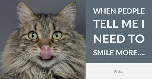 77 Funny Quotes About Life Short Words To Make You Laugh Funzumo They definitely don't fall short of funny. 77 funny quotes about life short words