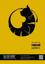 平面 大專組 優選 愛護動物基金會 執委會 Patterns In Nature Poster Movie Posters