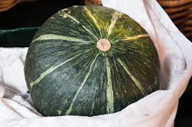 Guarda quali varietà di zucche vale la pena coltivare in la coltivazione della zucca commestibile è popolare in molte parti del mondo. Tipi Di Zucca Tutte Le Varieta Commestibili Everli Stories