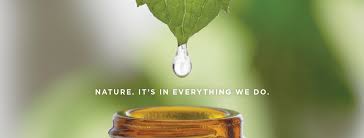 Image result for Melaleuca