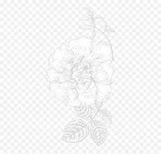 Check spelling or type a new query. Free Black And White Flower Illustration Download Clip Flower Illustration Png White Flower Illustration Png Free Transparent Png Images Pngaaa Com