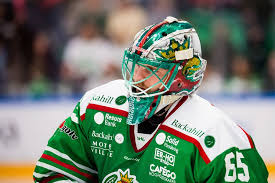 Professionell idrottsförening från ängelholm, sverige. Rogle Bk Hockeysverige