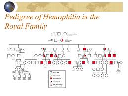 queen victoria hemophilia porphyria adam edwards bobby