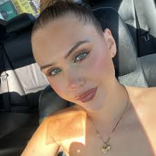 How to clean the inside of my blinds?