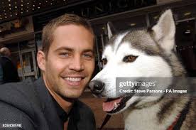 7,211 Tinker Stock Photos, High-Res Pictures, and Images