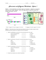 We have a great hope these macromolecule worksheet with answers photos collection can be a guidance for you, give you more references and most important: Macromolecule Worksheet