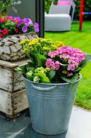 Bunte Kalanchoe Eine Wimpelkette Ein Kissen Unser Garten In 2020 Garten Blumen Pflanzen