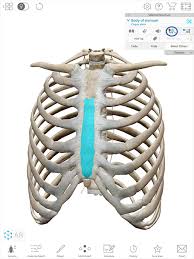 This helps to break down the vast amount of content into smaller, logical chunks that will help you to uniquely identify them. Using 3d Anatomy Apps During Lecture Teaching Tips For Courseware Users