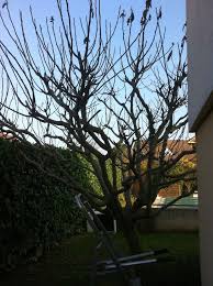 Epingle Sur Jardinage