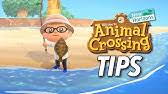Come get the lay of the land and learn what to expect when you set out to create your own island paradise. Bike Sports Rental Area Speed Build Animal Crossing New Horizons Youtube