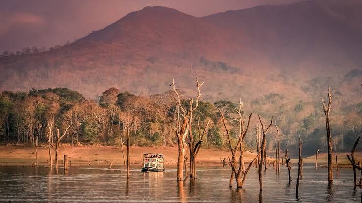 Kerala wildlife