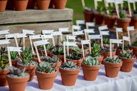 Place an order and experience why our succulent delivery is the best online! Succulents Cacti Bulk Orders Bast Brothers Garden Center