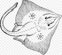 Gambar mewarnai anak tk tema pemandangan. Mewarnai Gambar Ikan Pari Download Kumpulan Gambar