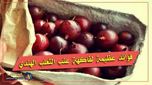 فوائد مذهلة لعنب الثعلب الهندي تجعلك لا تستغنى عنه Gooseberry Amla Fruit