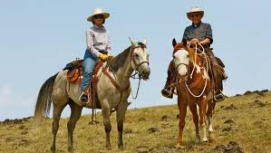 Maybe you would like to learn more about one of these? 7d Ranch The Dude Ranchers Association