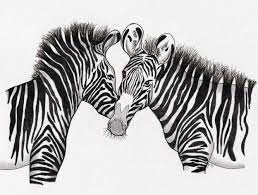 Like most primates, black and white colobus' have faces that are similar to humans. Drawing Animals Archives Zebra Pen
