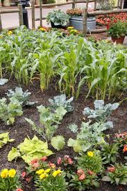 The benefits of gardening on a small scale are that it's easy to keep on top of weeds and keep the area looking beautiful. How To Plan A Vegetable Garden Hgtv