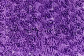 Download picture of a natural landscape purple rose image. Purple Rose Background Fabric Macro Photo Stock Photo Picture And Royalty Free Image Image 82318762