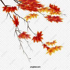 Autumn Leaves Beautiful Maple Leaf Maple Leaf Clipart Autumn Red Leaves Png Transparent Clipart Image And Psd File For Free Download Leaf Clipart Maple Leaf Clipart Autumn Leaves