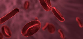 Sepsis is a serious illness and can lead to a life threatening condition called septic shock. Sepsis Blutvergiftung Ursachen Symptome Behandlung Lz Gesundheitsreport