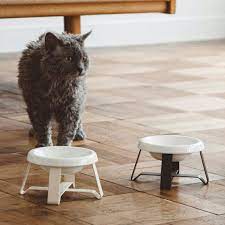 楽天市場 pecolo food stand s 陶器浅型 フードボウルスタンド 猫 フードボウル free stitch 猫 ペット フード
