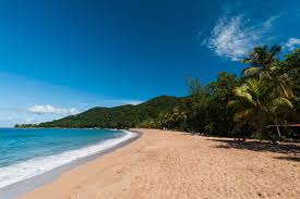 L'accessibilité de ce site est partiellement conforme (à 89%) avec le rgaa version 4.1. Perfect Plages The Best Beaches Of Guadeloupe