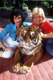 The booker tracked siegfried and roy down in spain and that led to a gig at las vegas's tropicana in 1967. Pin Auf Fly Higher And Higher