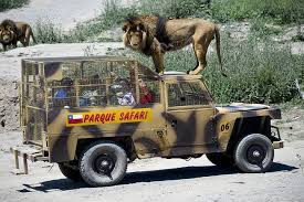 Quick & easy purchase process. Rancagua Parque Safari Eintrittskarte 2021 Santiago Tiefpreisgarantie