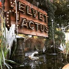 The velvet cactus is my birthday spot every year! The Velvet Cactus Restaurant 6300 Argonne Blvd New Orleans La 70124 Usa