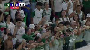 Pipa do Corinthians invade jogo do Palmeiras na Arena Barueri e torcida não perdoa